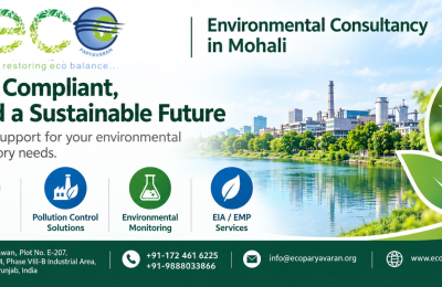 Top Environmental Consultants in Mohali: Complete Statutory & Compliance Guide